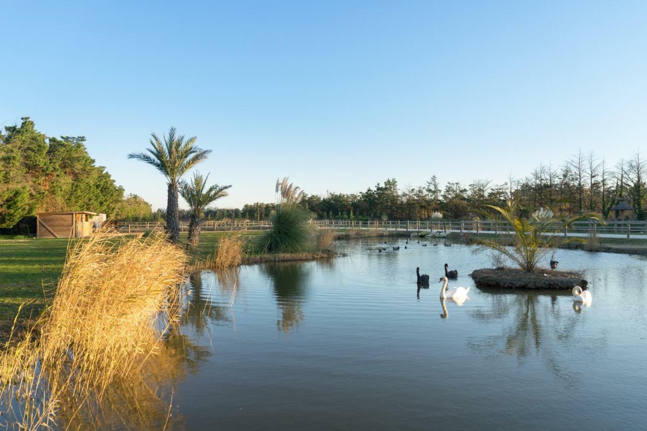 Abri Cosy - Suite Romantique En Camargue Saint-Gilles  Dış mekan fotoğraf